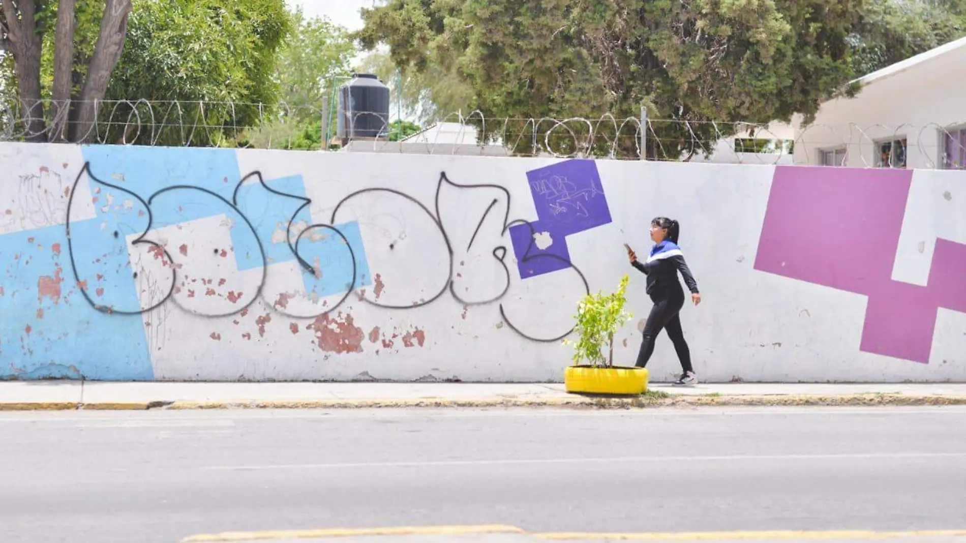 Mujeres, alerta de violencia de género (2)